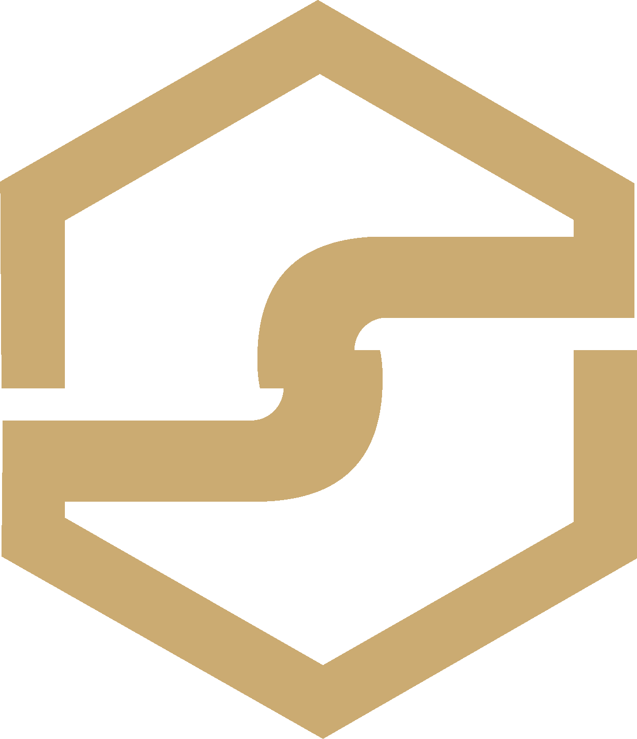 Naga Solution Logo